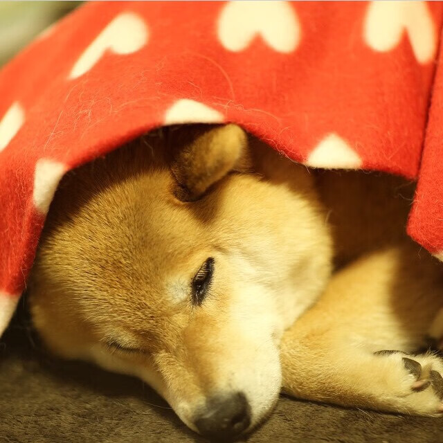 当足球奇迹跨越时空，那不勒斯翻盘墨西哥，梅西高光时刻再现