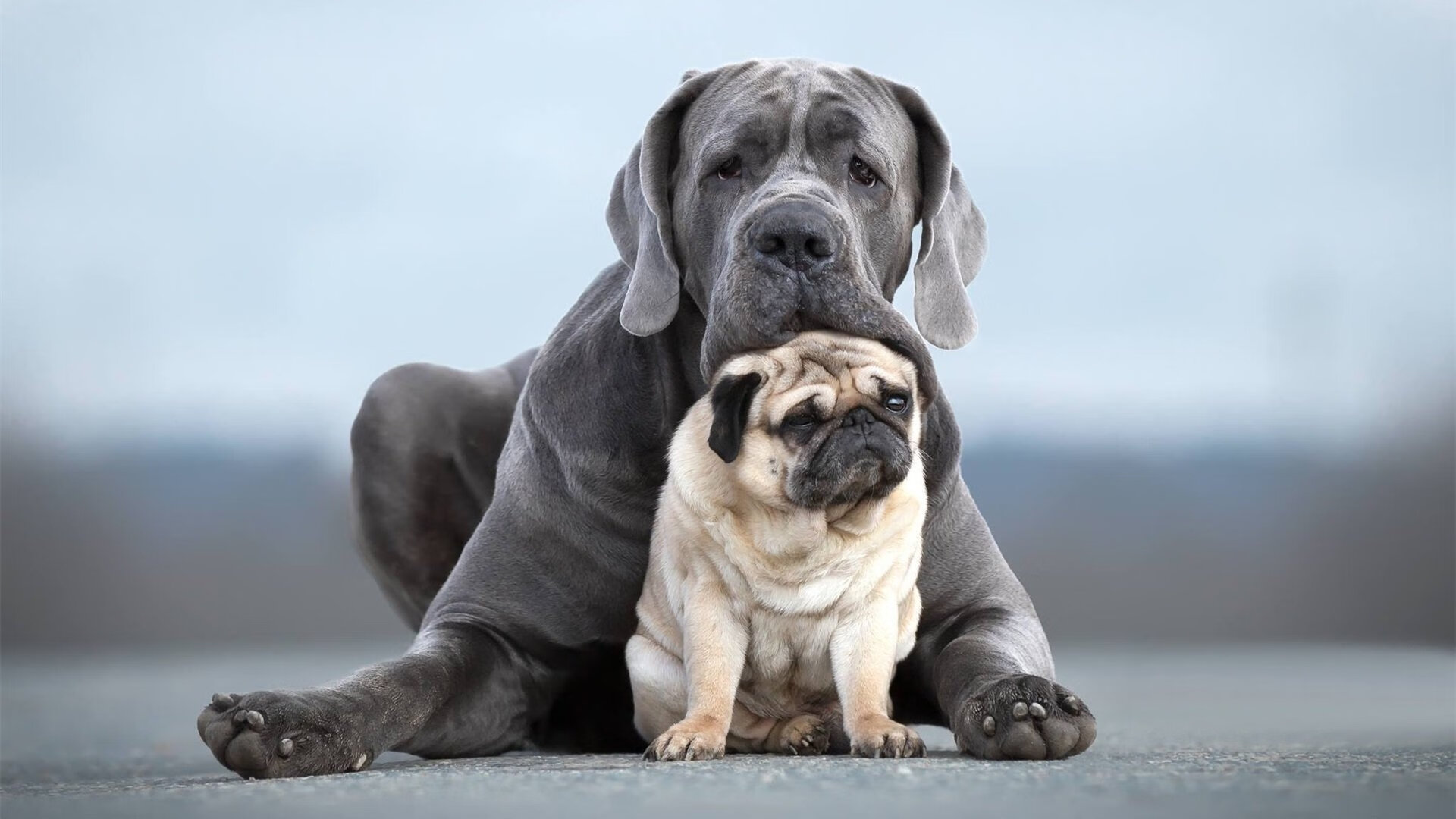 当团队风暴遇上孤胆英雄，足球哲学的双面镜