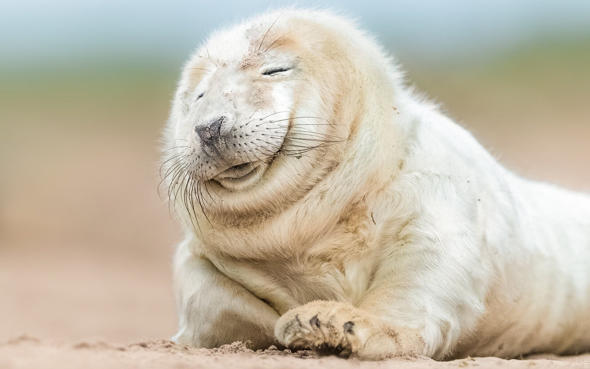 曼联新7号的闪电宣言，奥亚尔萨瓦尔一射定乾坤，埃及之旅提前落幕