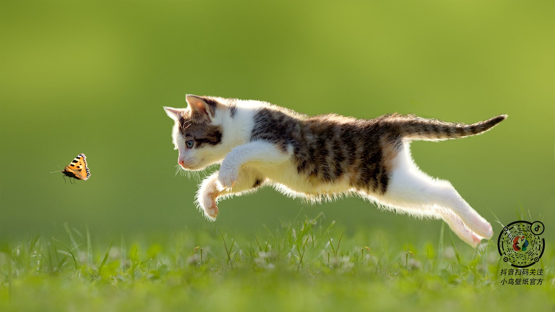 爱游戏官网-雪山终燃蓝色海岸，瑞士决胜局力克那不勒斯，伊萨克三度点燃圣保罗