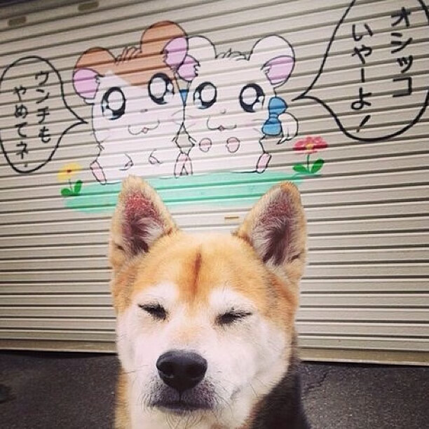 双星闪耀终结惊魂时刻!鹈鹕险胜国王,武切维奇里程碑之夜铸就传奇