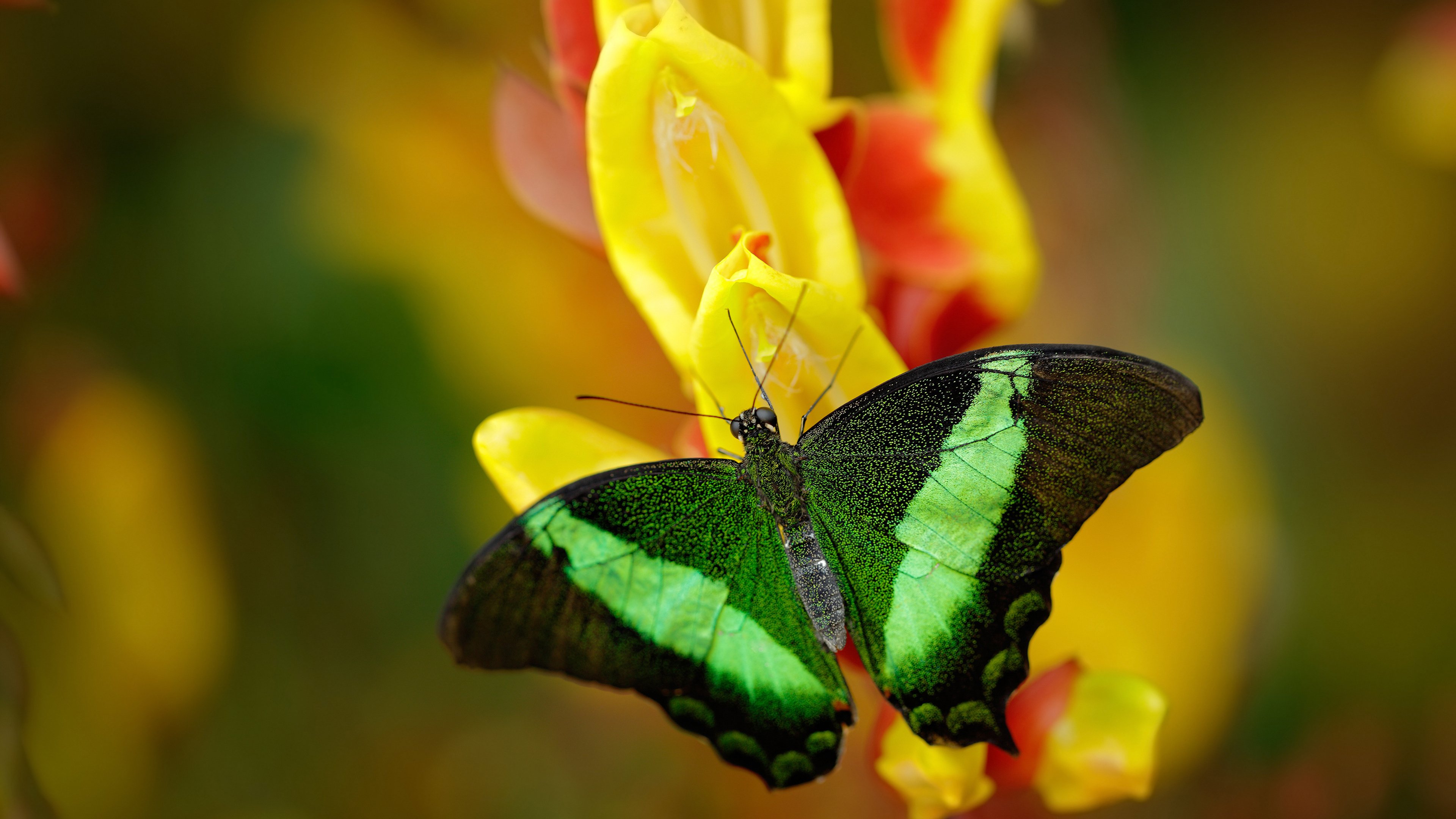 铁幕之前，孤影破局—记那个被C罗重新定义的欧冠半决赛之夜