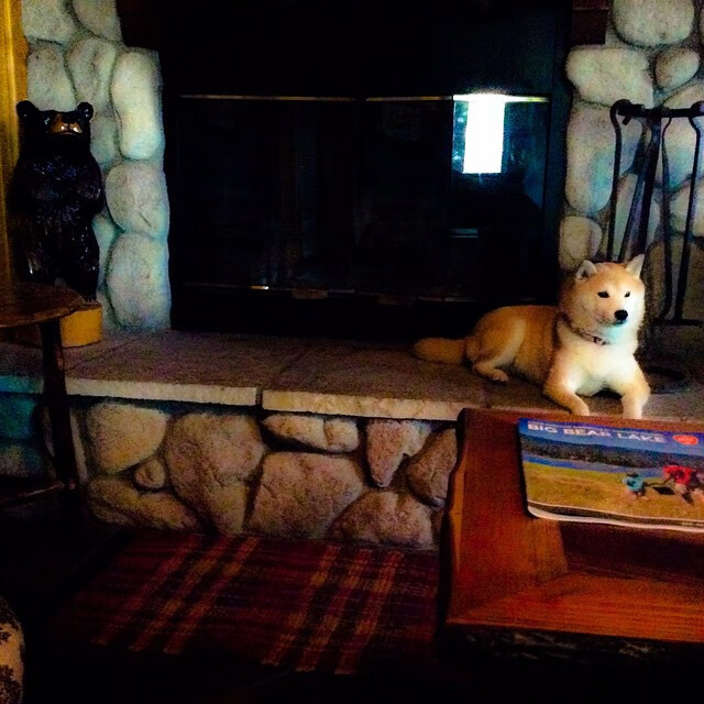 都灵城铁壁铸胜局—范戴克一夫当关,尤文稳擒智利利刃