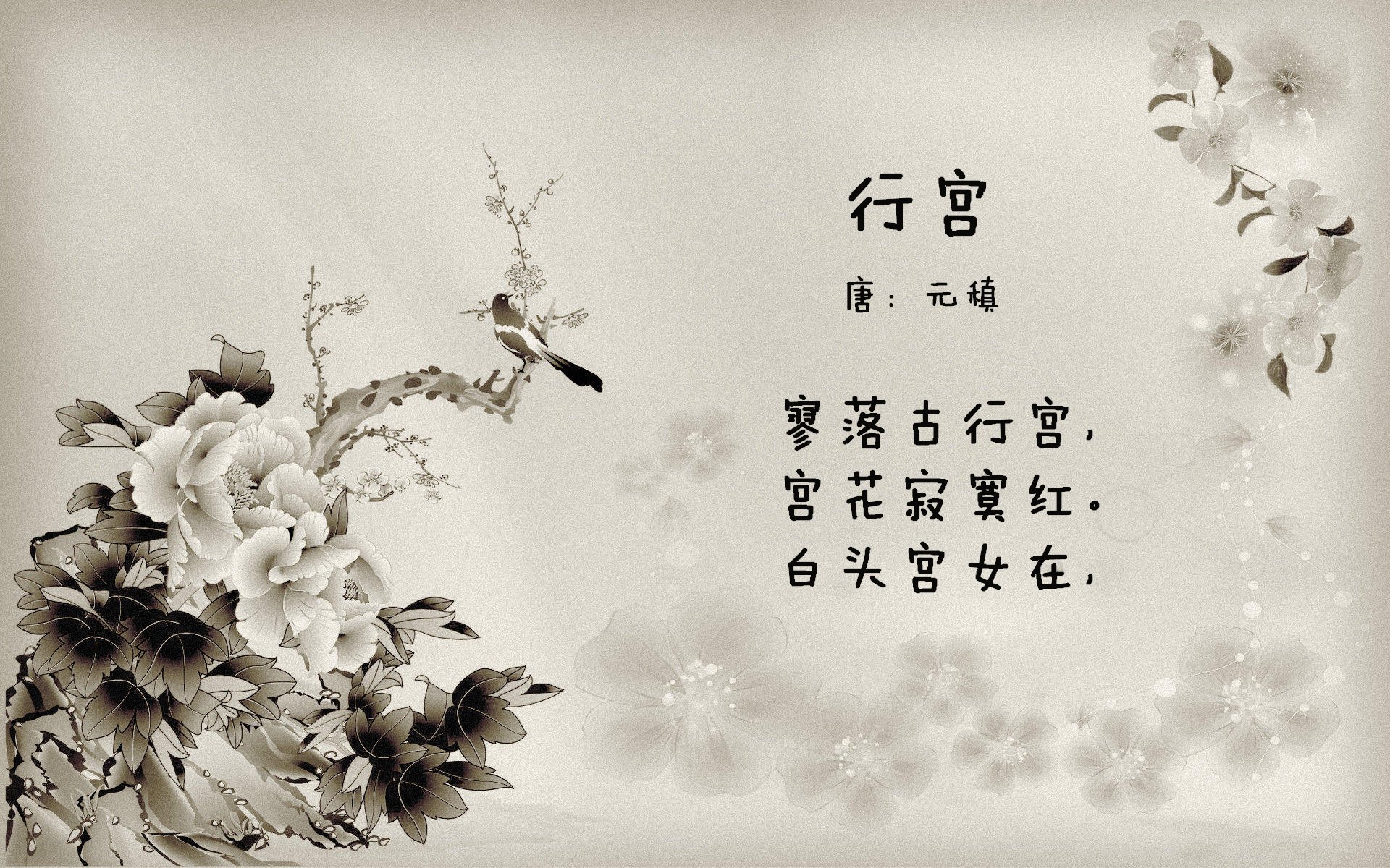 波兰淘汰美国,一场比NBA总决赛更震撼的篮球启示录