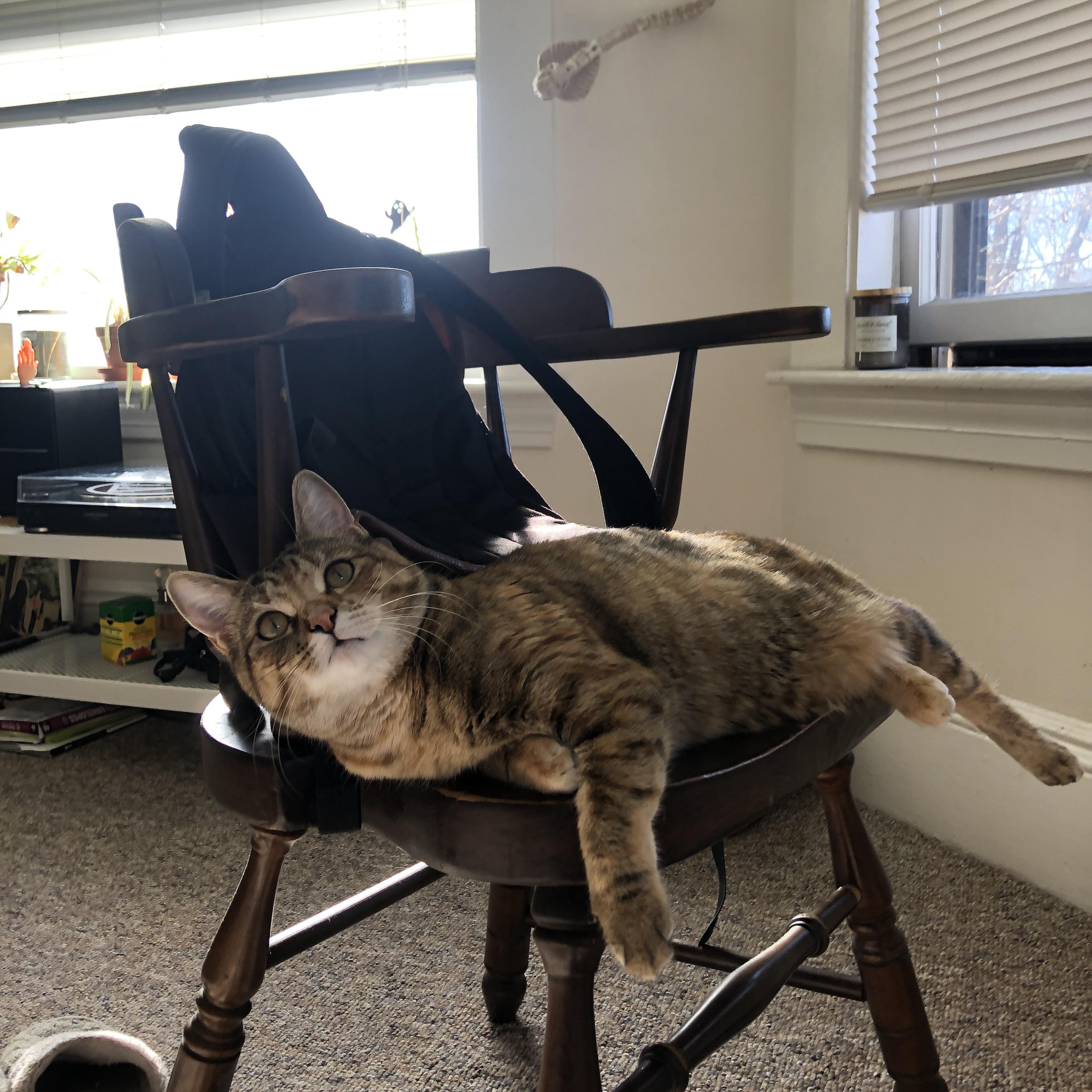 橙衣风暴与太极虎，一场非典型的洲际对话