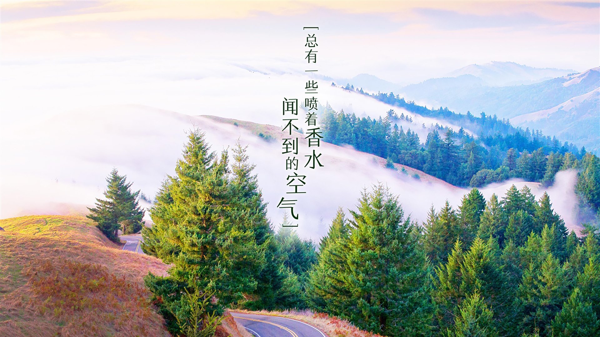 冷门与热望,2026世界杯黑马之战,尼日利亚如何用闪电战术撕碎瑞士,萨内闪耀成时代注脚