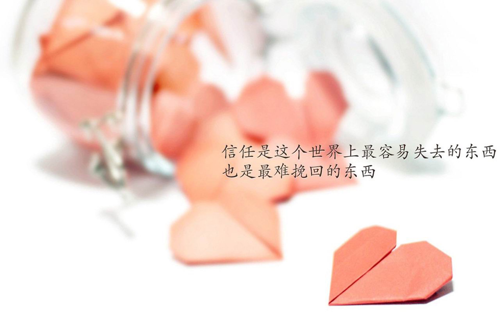 唯一性的碰撞,当C罗的意志成为伊朗对阵斯洛伐克的战术支点